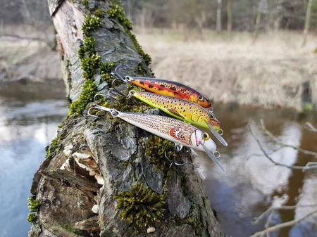 Wobler Bielik Provocator 6cm | 3,5g  | pływający | GŁ