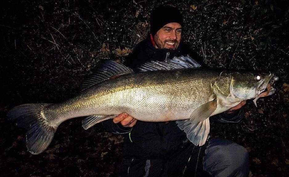 .Zestaw prezentowy Westin - SANDACZ - Ulubione przynęty Enrico Di Ventury