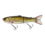Przynęta Savage Gear Wide Glide Scandal 25cm | Dirty Roach | wolno tonący