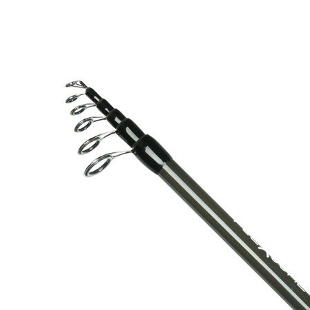 Wędka Robinson Flexcore Tele Carp 330cm | 40-80g