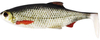 Zestaw Guma Westin Ricky the Roach ST 14cm | Real Roach - 1szt + Dozbrojka Vis Vangen 2szt.