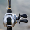 Multiplikator Daiwa 25 AIRD 80HL