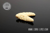 Przynęta Libra Lures Largo 3.5cm | 005 - Cheese | kryl | 10 szt.