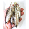 Guma Angry Lures Roach 12,5cm | TFSW