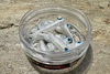 Guma Great Fish GF1 Twister 4,9cm | White Pearl | bezzapachowy | 10 szt.