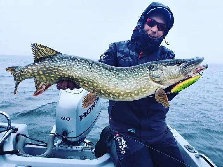 Wobler Salmo Sweeper 14cm | Silver Chartreuse Shad | tonący