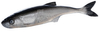 Guma SEWRO CUSTOM BAIT Ukleja 12.5cm- Czarna Naturalny Ogon
