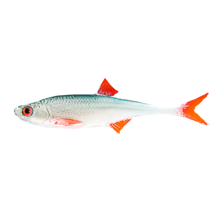 Guma Angry Lures Angry Bleak F-Tail 10 cm | NBR