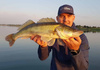 Guma Fox Rage Zander Pro Shad 10cm | Glitter Perch