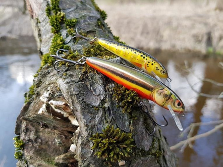 Wobler Salmo Minnow 5cm | Holo Bleak | pływający