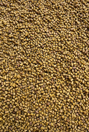 Micro Pellet Feeder Bait 2mm | Epidemia