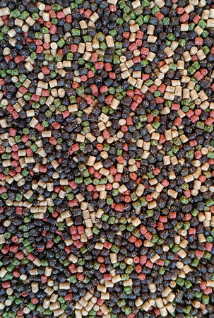 Pellet Feeder Bait 4mm | Halibut - Green&Black&Red