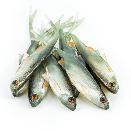 Guma Angry Lures Bleak V-Tail 11,5cm | NOO