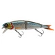 Roach