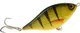 Yellow Perch