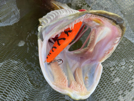 Jerk Kaszub Baits Danire 10cm | tonący | 40g | OT UV