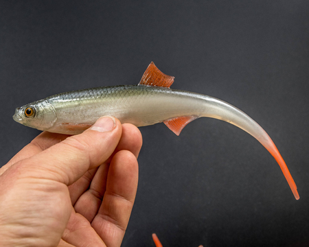 Guma Angry Lures Bleak V-Tail 20cm | NOO
