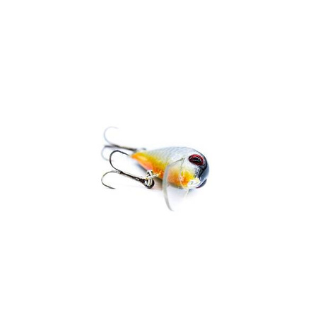 Wobler Engima Baits Brisk 4cm | Agresorek| pływający