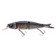 Herring