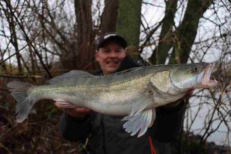 Guma Savage Gear Craft Bleak 10cm | Holo Baitfish