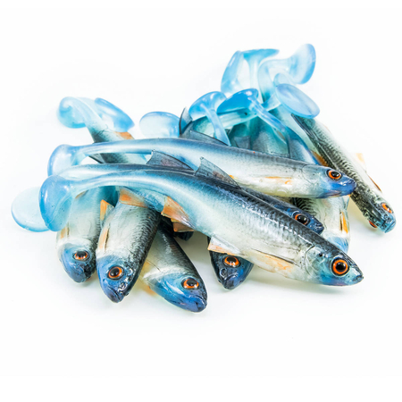 Guma Angry Lures Bleak 10cm | NBO