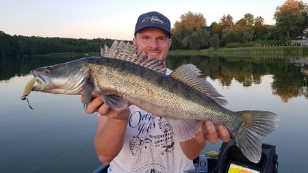 .Guma Fox Rage Slick Shad 18cm | UV Red Wake | 2szt.