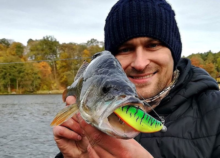 Guma Westin ShadTeez High 12cm | Crazy Firetiger