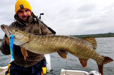 Przynęta Angry Pikes - Pike Tyson 21 cm, 90 g - Firetiger