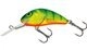 Hot Perch