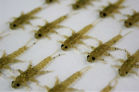 Przynęta FISHCHASER Widelnica / 3.5cm / 5szt. / Olive And Pepper