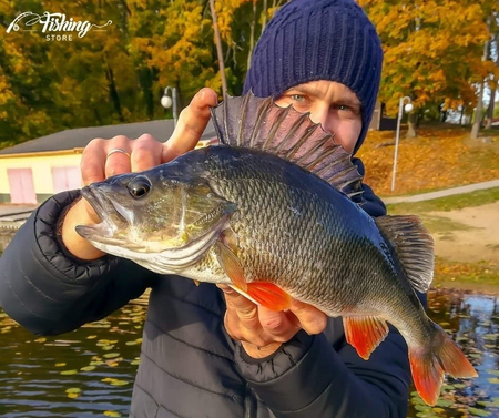 Cykada Manyfik 3g | 01 Perch