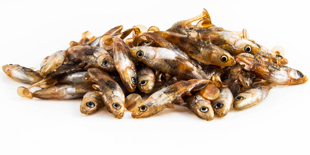 Guma Angry Lures Stickleback 6cm | DB
