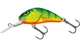 Hot Perch