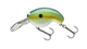 Blue Perch