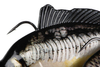 .Guma Fox Rage Super Natural Replicant Carp 18cm | Koi Carp
