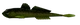 132 - MOTOR OIL GREEN
