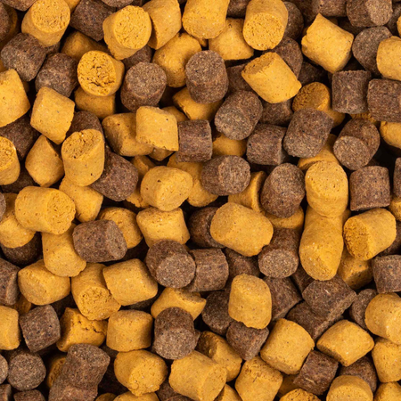 Pellet Baitnow Method Feeder Yellow Spin 8mm | 800g 