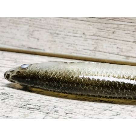 Guma SEWRO CUSTOM BAIT Ukleja 16cm- Czarna Kopyto Pomarańcz