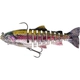 Real Rainbow Trout