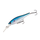 Blue Roach