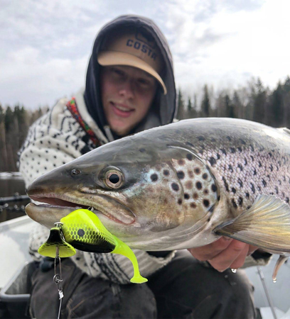 Headbanger Shad 11cm - Red Craw - Pływający