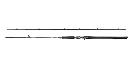 Wędka Castingowa Savage Gear Alpha SG8 Monster 246cm | 42-140g