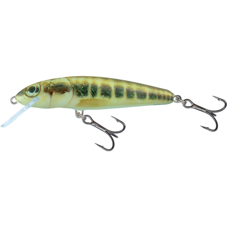 Wobler Salmo Minnow 5cm | Minnow | tonący