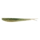 Emerald Shiner