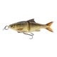 Horny Bream