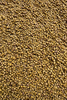 Micro Pellet Feeder Bait 2mm | Epidemia