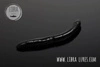 Przynęta LIBRA LURES Fatty D'Worm 7.5cm -040 - black- 8szt (zapach serowy)
