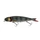 CL Perch