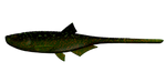 Przynęta Libra Lures Bleak Slug Tail 8.2" | 20.8 cm | 132 - Motor Oil Green