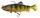 Stickleback UV